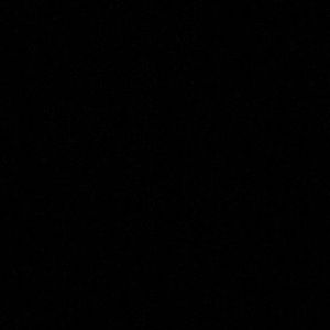 Meet your Posher, Lilly